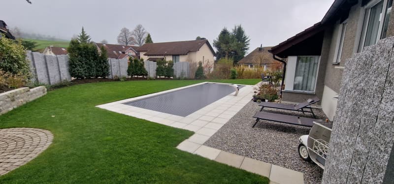 Pool im Garten mit Rasen – Badipool-Projekt