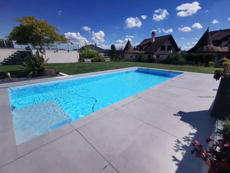 Sonniger Rechteckpool mit heller Steinterrasse und Rasen – ein Badipool-Projekt