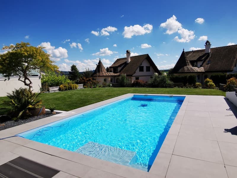 Rechteckiger Pool mit Treppe, hellen Randsteinen und Rasen – ein Badipool-Projekt